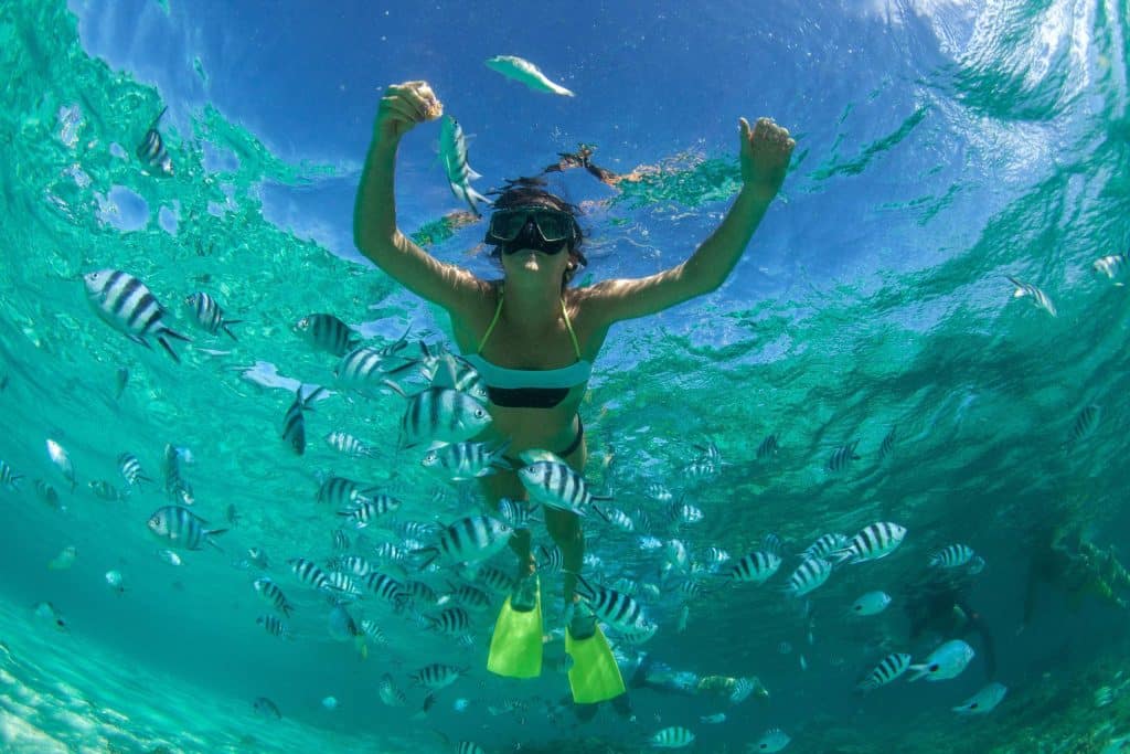 Snorkeling on a yacht charter vacation